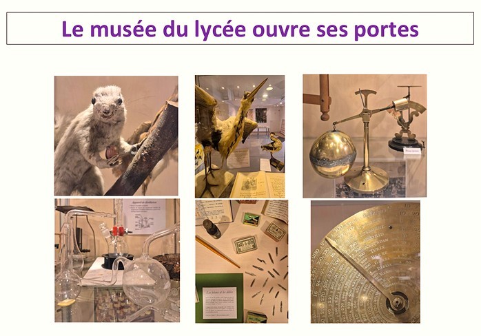 tn_baffiche-objets-musee<